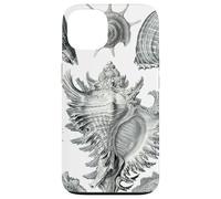 Arte de dibujo científico vintage con conchas marinas Carcasa para iPhone 13