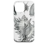 Arte de dibujo científico vintage con conchas marinas Carcasa para iPhone 13 Pro Max