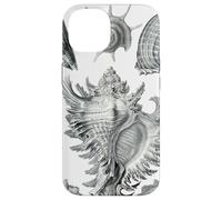 Arte de dibujo científico vintage con conchas marinas Carcasa para iPhone 14