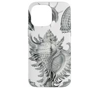Arte de dibujo científico vintage con conchas marinas Carcasa para iPhone 14 Pro Max