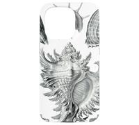 Arte de dibujo científico vintage con conchas marinas Carcasa para iPhone 15 Pro