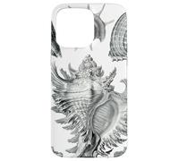 Arte de dibujo científico vintage con conchas marinas Carcasa para iPhone 15 Pro Max