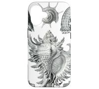 Arte de dibujo científico vintage con conchas marinas Carcasa para iPhone 16