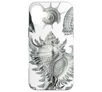 Arte de dibujo científico vintage con conchas marinas Carcasa para iPhone 16 Plus