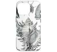 Arte de dibujo científico vintage con conchas marinas Carcasa para iPhone 16 Pro