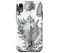 Arte de dibujo científico vintage con conchas marinas Carcasa para iPhone XR
