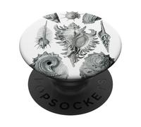 Arte de dibujo científico vintage con conchas marinas PopSockets PopGrip Adhesivo