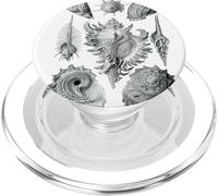 Arte de dibujo científico vintage con conchas marinas PopSockets PopGrip para MagSafe