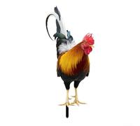 Arte de jardín acrílico con forma de gallo diseñado para todas las estaciones, fácil de colocar en tu patio (A)