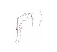 Arte de la anatomía del cabello, póster fisiología e impresión depilación, cosmetólogo, regalo, pintura en lienzo, cuadro pared, decoración habitación belleza(H,20X25 cm Unframed)