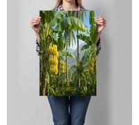 Arte De Pared Sin Marco, Póster De Paisaje Platanero, Pintura En Lienzo, 50×70 Cm, Decoración De Pared Con Selva Tropical Realista, Obras De Arte Para Sala De Estar Dormitorio, Verde Esmeralda