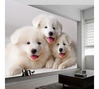 Arte Moderno Murales De Papel Pintado 300 x 210 cm, Fotomurales Pared Tejido No Tejido Animales Blancos Perro Samoyedo Decorativos Murales póster para Dormitorio Salón TV Pared