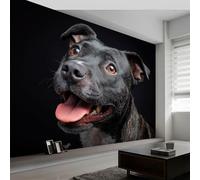 Arte Moderno Murales De Papel Pintado 400 x 280 cm, Fotomurales Pared Tejido No Tejido Estampado Animal Perro Decorativos Murales póster para Dormitorio Salón TV Pared