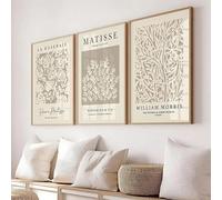 Arte mural abstracto neutro, láminas con temática vegetal en color beige, pósteres de William Morris, galería Matisse color topo, decoración para oficina y hogar (60x90cm-3 piezas)