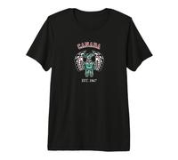 Arte Nativo Vintage Rojo Negro Haida Thunderbird Camiseta Premium