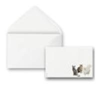 Arte Papel Tarjeta 9x14 Cat Team+sobre Sin Forrar