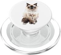 Arte Ragdoll Cat Blue Eyes para Amantes de los felinos PopSockets PopGrip para MagSafe