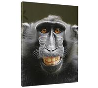Arte rectangular de pared con diseño de mono, diseño de animales salvajes, hojas, plantas, cómicas, naturaleza, chimpancé, color negro y verde, decoración para colgar, impermeable, para guardería