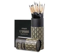 ARTEGRIA Juego de 17 pinceles de pintura en miniatura con puntas finas, mango ergonómico, pincel de daga para arte de modelo a pequeña escala y pintura por números para adultos, acrílico acuarela óleo