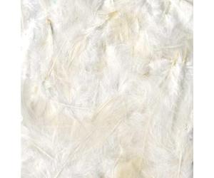 Artemio ebouriffées, Pluma, Blanco, 11,5 x 1 x 31 cm