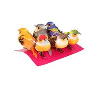 Artémio Pájaros pequeños Multicolor en Clip, Metall, 6 Unidad (Paquete de 1), 6