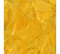 Artemio Plumas ébouriffées Amarillo 10g, 10 gr