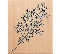 Artemio Tipo F de Madera, diseño de Rama