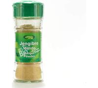 Artemis Jengibre Molido 100% Bio 25g