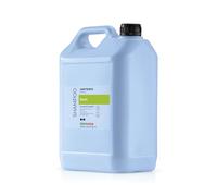 Artero Champú Basic 5 L.