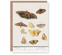 Artery8 Anselmus de Boodt Art Card Butterflies and Moths Study