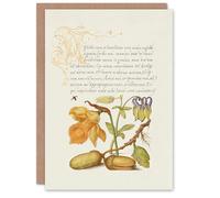 Artery8 Art Card Daffodil Flower and Oak Acorns Model Book of Calligraphy