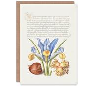Artery8 Art Card Iris Flower and Hazelnut Model Book of Calligraphy