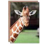 Artery8 Carol M Highsmith Art Card Giraffe at Oak Park Montgomery Zoo