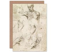 Artery8 Da Vinci Superficial Anatomy Of Shoulder And Neck Fine Art Greeting Card Plus Envelope Blank Inside sper
