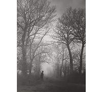 Artery8 Felix Thiollier Huntsman In Alley Trees Precicet Photo Unframed Wall Art Print Poster Home Decor Premium Arboles Fotografa pared Pster Casa