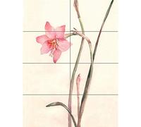Artery8 Flower Zephyranthes Watercolour XL Giant Panel Poster (8 Sections) Flor Acuarela Póster