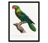 Artery8 Francois Levaillant The Great Billed Parrot Framed Wall Art Print Home Décor A4