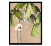 Artery8 Hannah Borger Overbeck May Apple Flower Watercolour Framed Wall Art Print Home Décor A3