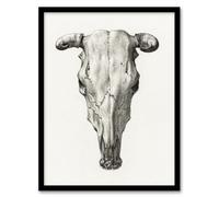 Artery8 Jean Bernard Skull of a Cow Pencil Drawing Framed Wall Art Print Home Décor A3