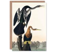 Artery8 John James Audubon Art Card Black Bellied Darter Bird
