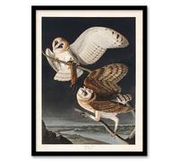 Artery8 John James Audubon Birds of America Barn Owl Framed Wall Art Print Home Décor A4