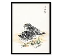 Artery8 Kashu Black Brant Geese Pictorial Monograph Of Birds Framed Wall Art Print Home Décor A3