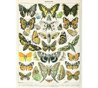Artery8 Millot Encyclopedia Page Butterflies Moths Unframed Wall Art Print Poster Home Decor Premium Página pared Póster Casa