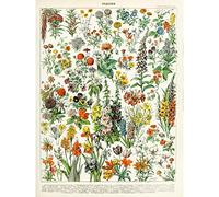 Artery8 Millot Encyclopedia Page Flowers Plants Unframed Wall Art Print Poster Home Decor Premium Página Flores Planta pared Póster Casa