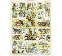 Artery8 Millot Encyclopedia Page Mammals Lion Bear Unframed Wall Art Print Poster Home Decor Premium Página León Oso pared Póster Casa