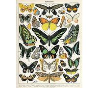 Artery8 Millot Encyclopedia Page Moths Butterflies Unframed Wall Art Print Poster Home Decor Premium Página pared Póster Casa
