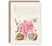 Artery8 Model Book of Calligraphy Art Card Carnation Walnut and Mollusk