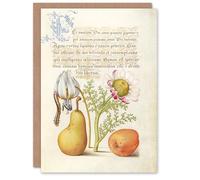 Artery8 Model Book of Calligraphy Art Card Caterpillar Flowers and Fruit