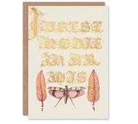 Artery8 Model Book of Calligraphy Art Card Chard and Red Winged Grasshopper