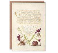 Artery8 Model Book of Calligraphy Art Card Gillyflower Fly Mayfly and Snail
